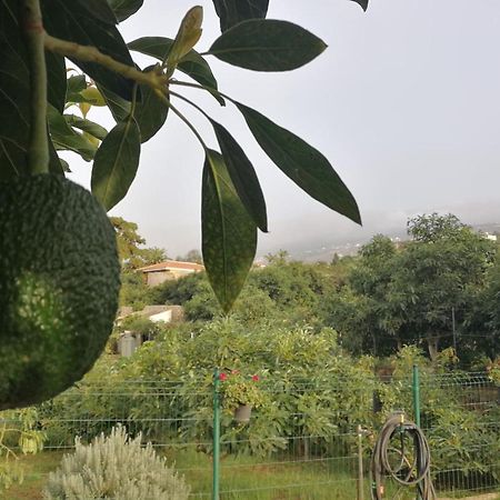 Lugares Comunes Vendégház Los Realejos Kültér fotó