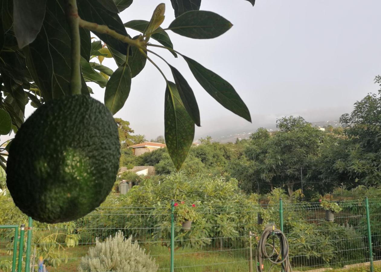 Lugares Comunes Vendégház Los Realejos Kültér fotó